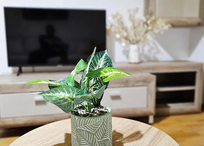 아파트 Magheru Cozy 2 Self Check-in *