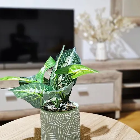 Apartament Magheru Cozy 2 Self Check-in *